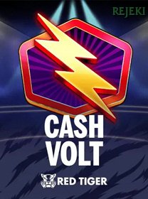 Cash Volt icon